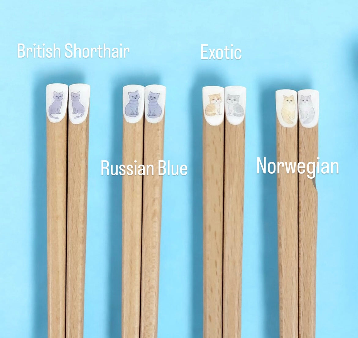 πΎπ½οΈ Enhance Your Dining with "Nyankyawa Chopsticks"! ππ±