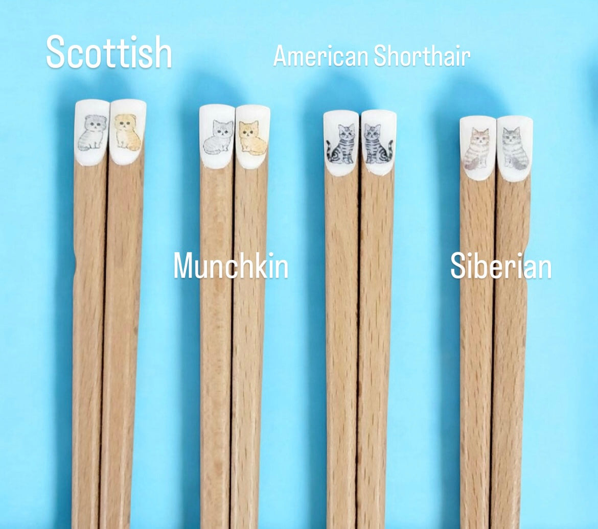 πΎπ½οΈ Enhance Your Dining with "Nyankyawa Chopsticks"! ππ±