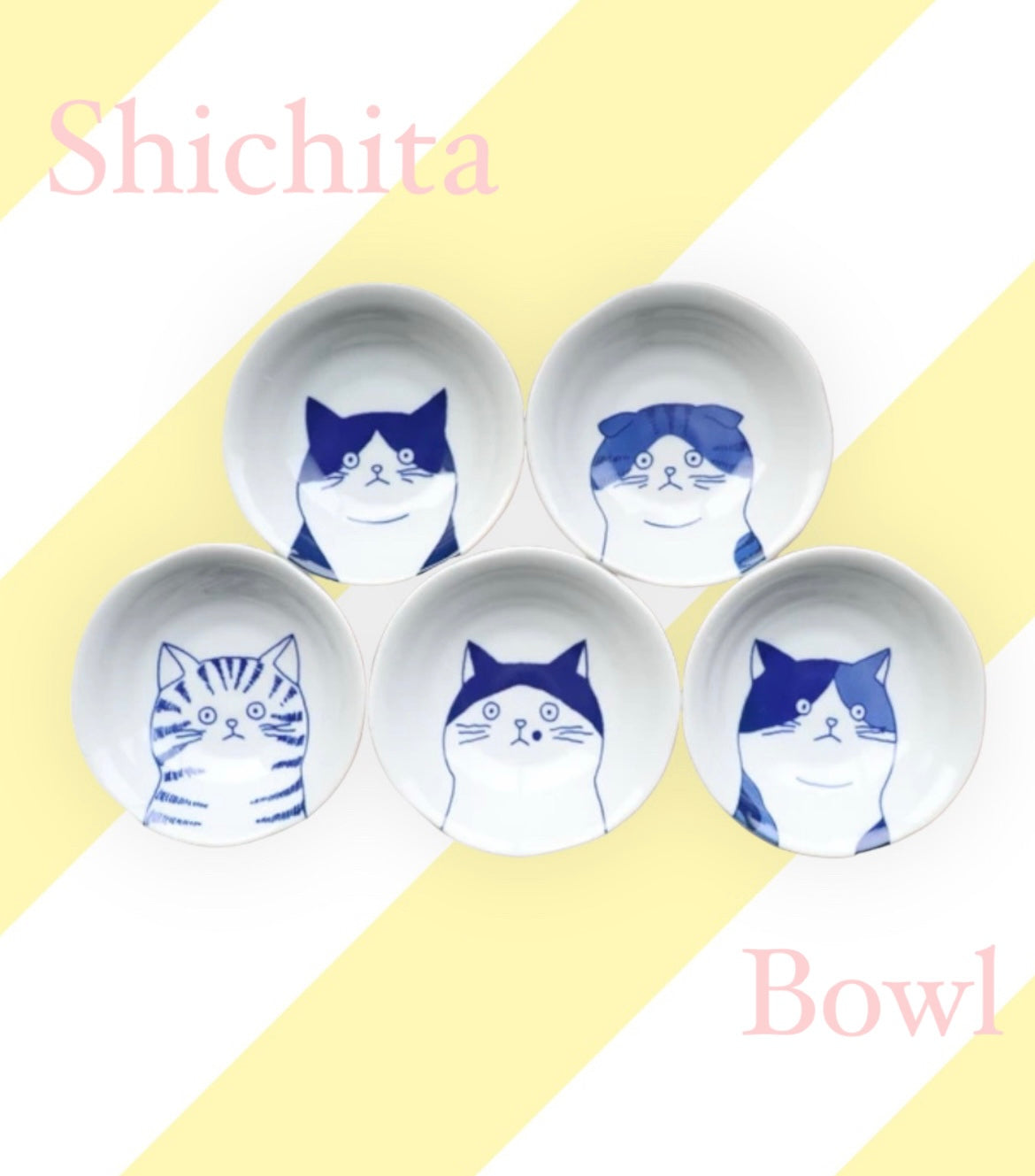 Shallow Bowl🐱💫 Purr-fect Harmony: Cat Motif🐱💫 Shichita Scottish