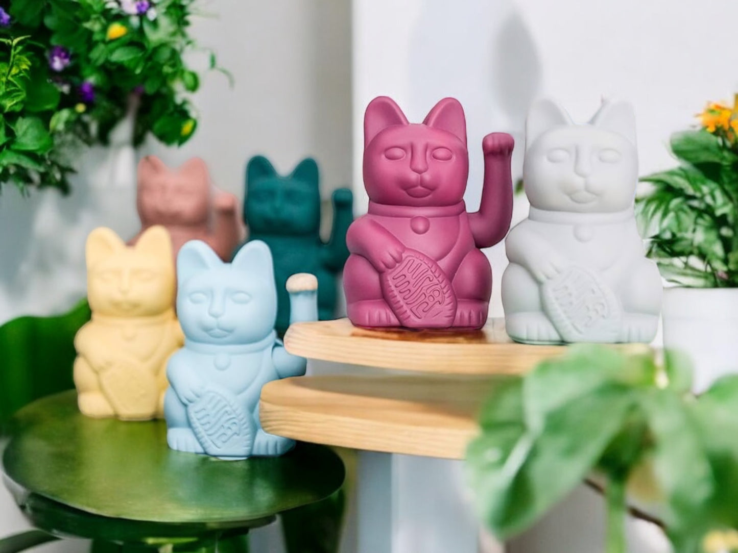 Mini🎉✨ Unveiling the Colorful MANEKINEKO Collection by DONKEY 🐱🌈