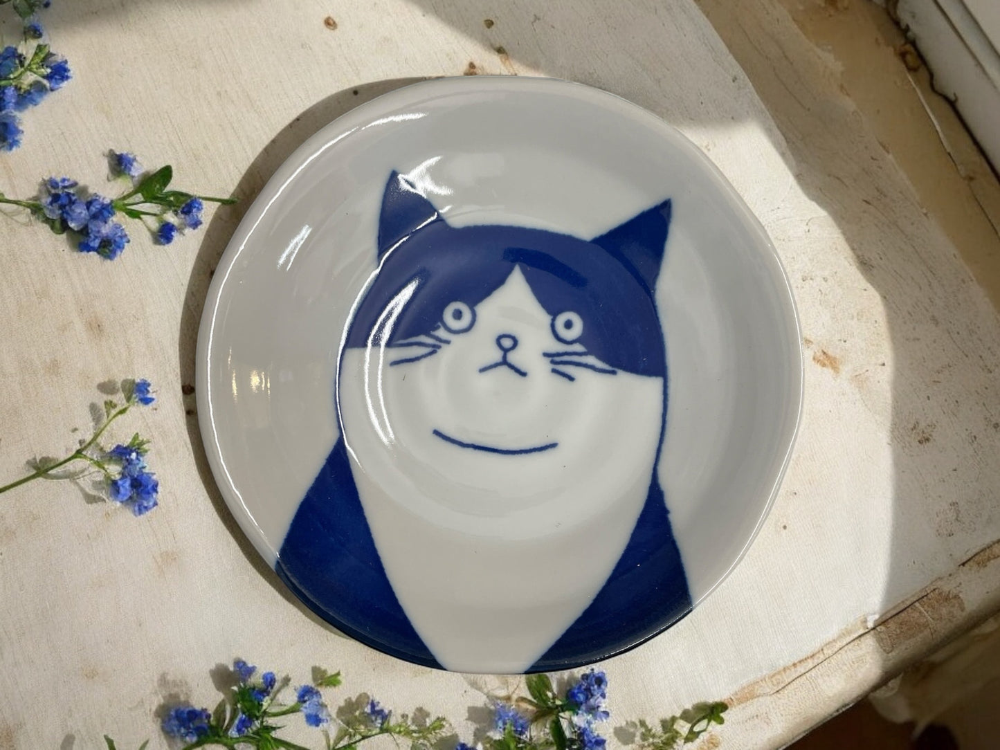 16cm🌟🐾 The Whisker-Worthy Shichita Cat Plate🐾🌟Hachiware