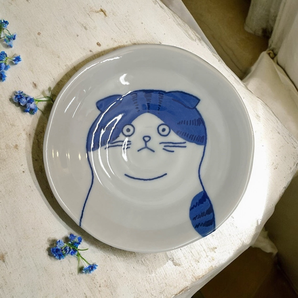 16cm🌟🐾 The Whisker-Worthy Shichita Cat Plate🐾🌟 Scottish