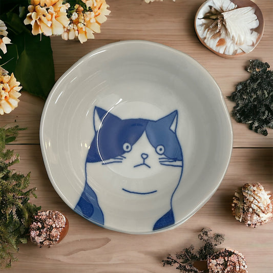 Shallow Bowl🐱💫 Purr-fect Harmony: Cat Motif 🐱💫 Shichita Mike